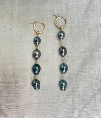 Image 1 of Larmes de l’huître