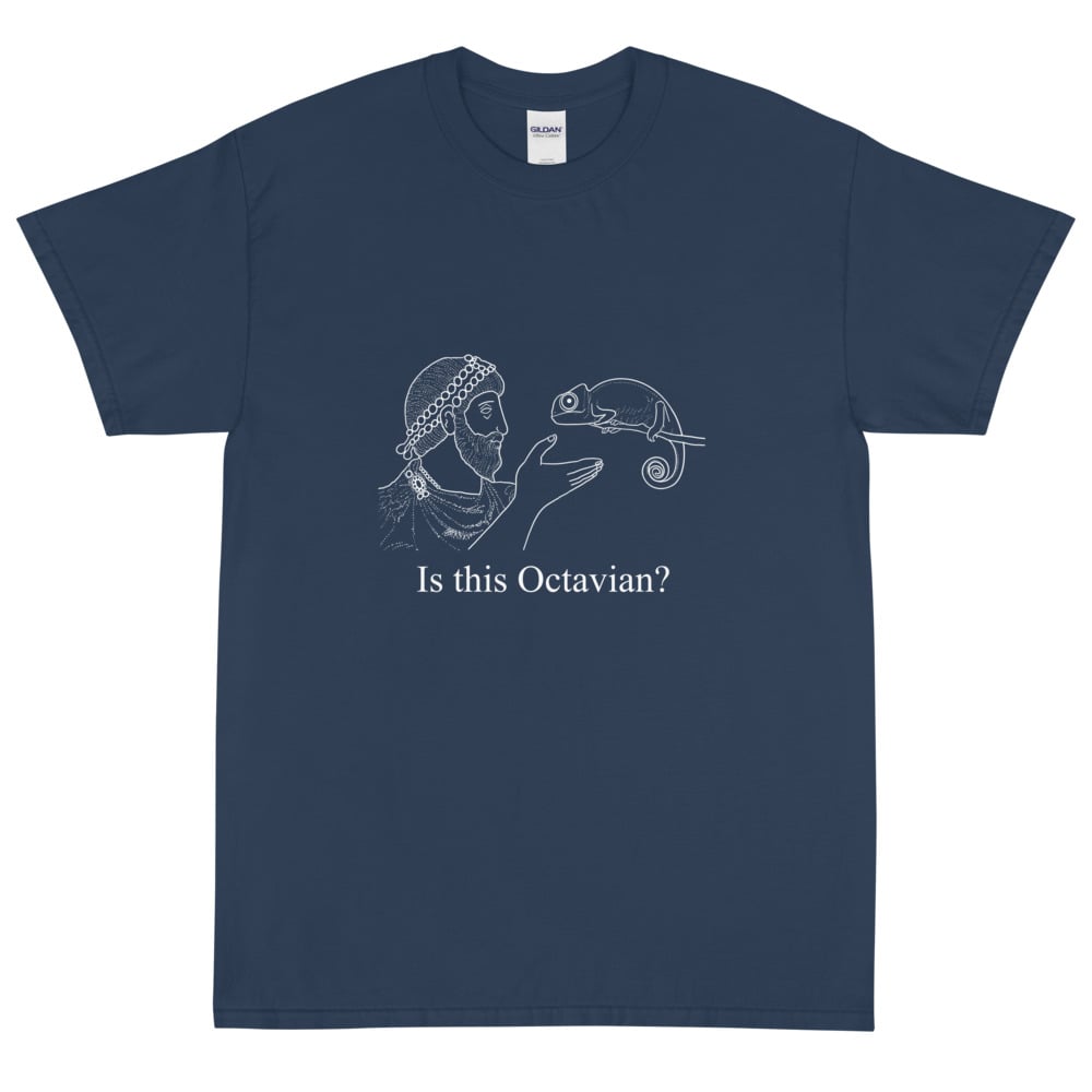 Image of Is This Octavian? Short Sleeve T-Shirt - White Details
