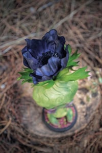 Image 2 of BLACK FLOWER