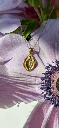 Image 5 of  Vulva Pendants