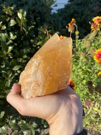 Image 4 of Twin Golden Dogtooth Calcite