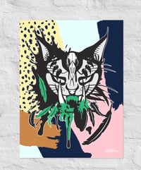 Image 1 of SHAMANCAT COLLECTION/BUNDLE