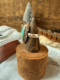 Image 5 of The Wild Mesa