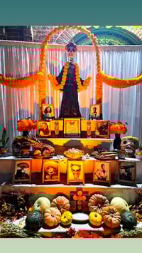 Image 2 of Siete ( NEW!)