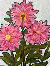 Image 4 of Three Pink Dahlias 