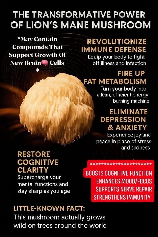 WILD MEDICINAL MUSHROOMS: Lion's Mane-Chaga-Turkey Tail-Maitake-Cordyceps (Himalayan Viagra). DNA.