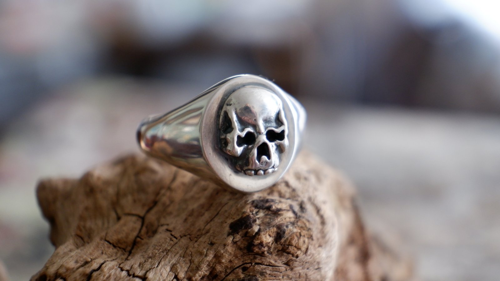 Signet hot sale ring skull