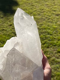 Image 11 of Large Clear Quartz Points Cluster Statement Piece #2068