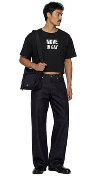 Image 3 of move im gay - cropped 