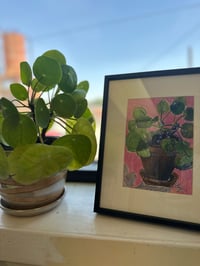 Image 2 of Money Plant Study