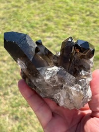 Image 12 of Smoky Quartz Crystal Points Cluster | Brazil #2970