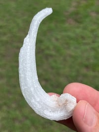 Image 6 of Rams Horn Selenite, Gypsum Specimen | Guizhou China #2867