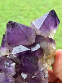 Image 11 of Amethyst Points Cluster | Congo #2870
