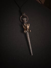 Image 3 of Coffin nail & vertebrae 