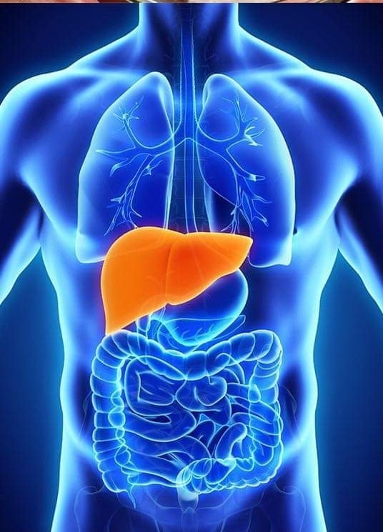 ROSEY RED ROSELLE! Hibiscus Tea-Weight-Circulation-Blood Pressure-Cholstrl-Liver-Mood-Heart-Sedative