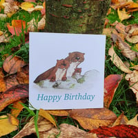 Birthday Otters