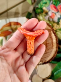 Image 12 of Grzybowe magnesy na lodówkę 