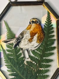 Image 1 of Robin