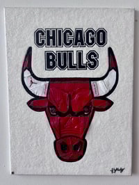 Image 1 of Chicago Bulls “Like Mike”