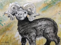 Image 1 of Ram Season