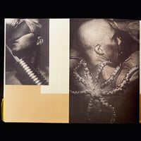 Image 8 of Toshiharu Ito 'Biological Ruins Theory'