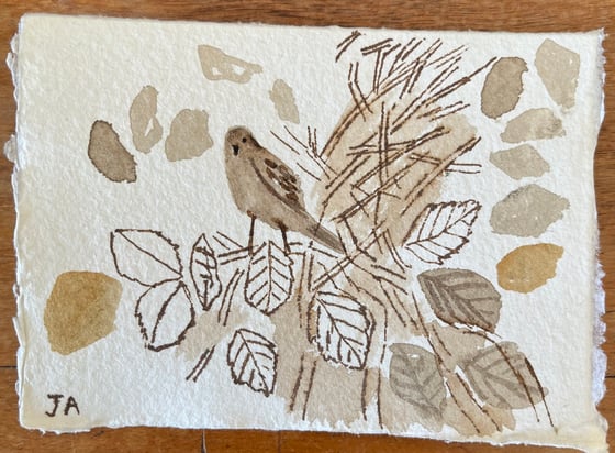 Image of Sparrow in a beech hedge lll