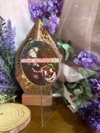 Image 4 of SEPARADOR DE LIBROS