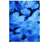 Image 1 of BLUE FLOWERS 