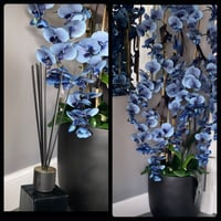 Blue orchid floor standing arrangement 