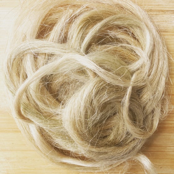 Image of Welsh flax/linen fibre