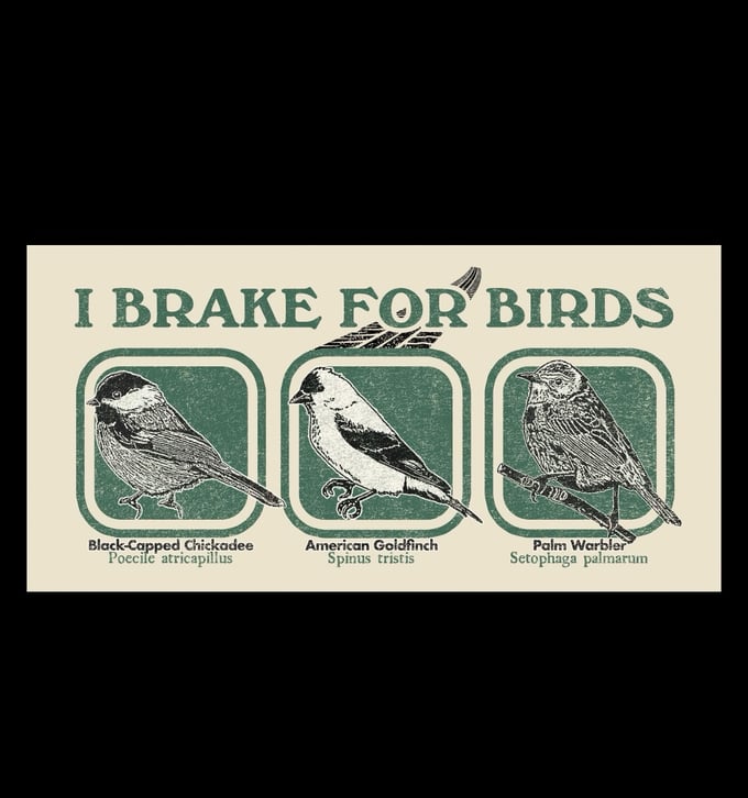 Image of I Brake for Birds 7.5” x 3.75” bumper sticker