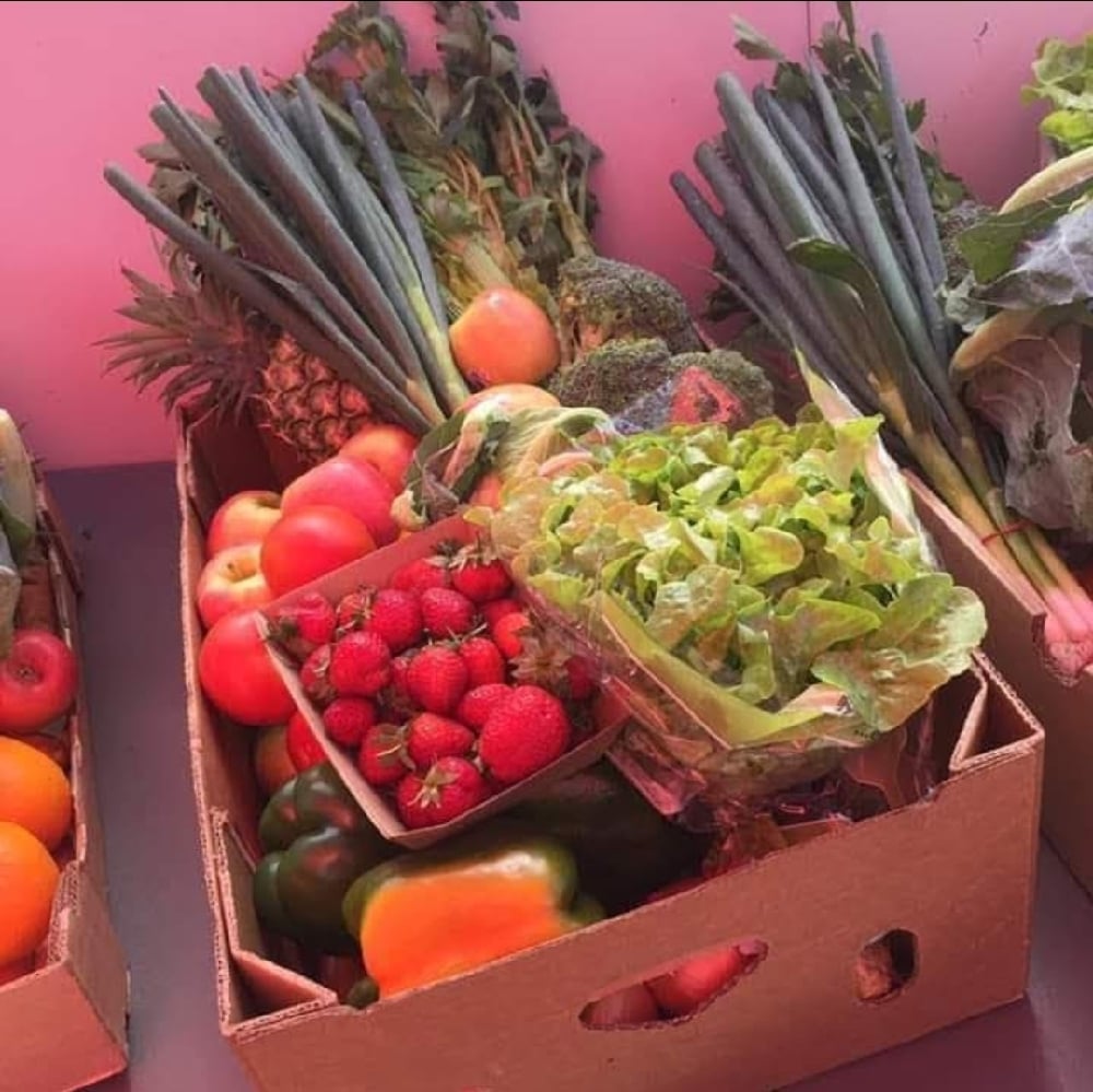 Image of Small Produce Pack 
