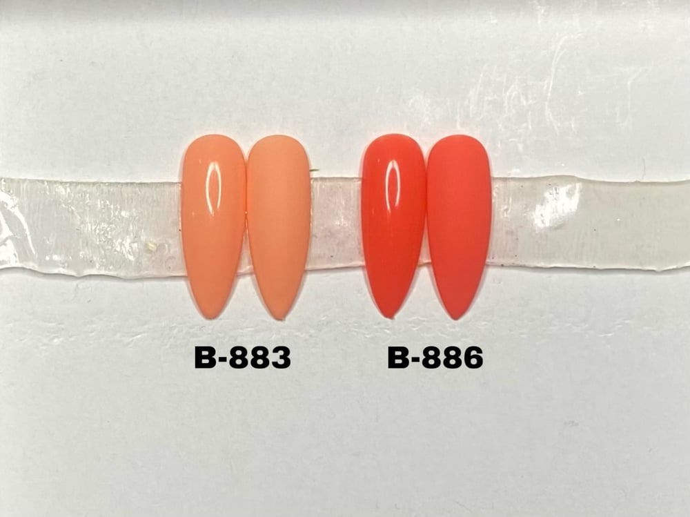 Image of Basic 17