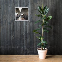 Image 1 of Lone Bowl at Ivan Ramen - Oversized