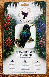 Image 6 of Hummingbirds of Costa Rica Pin Badges