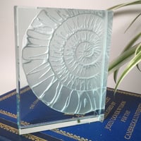 Image 4 of Ammonite Glass Block