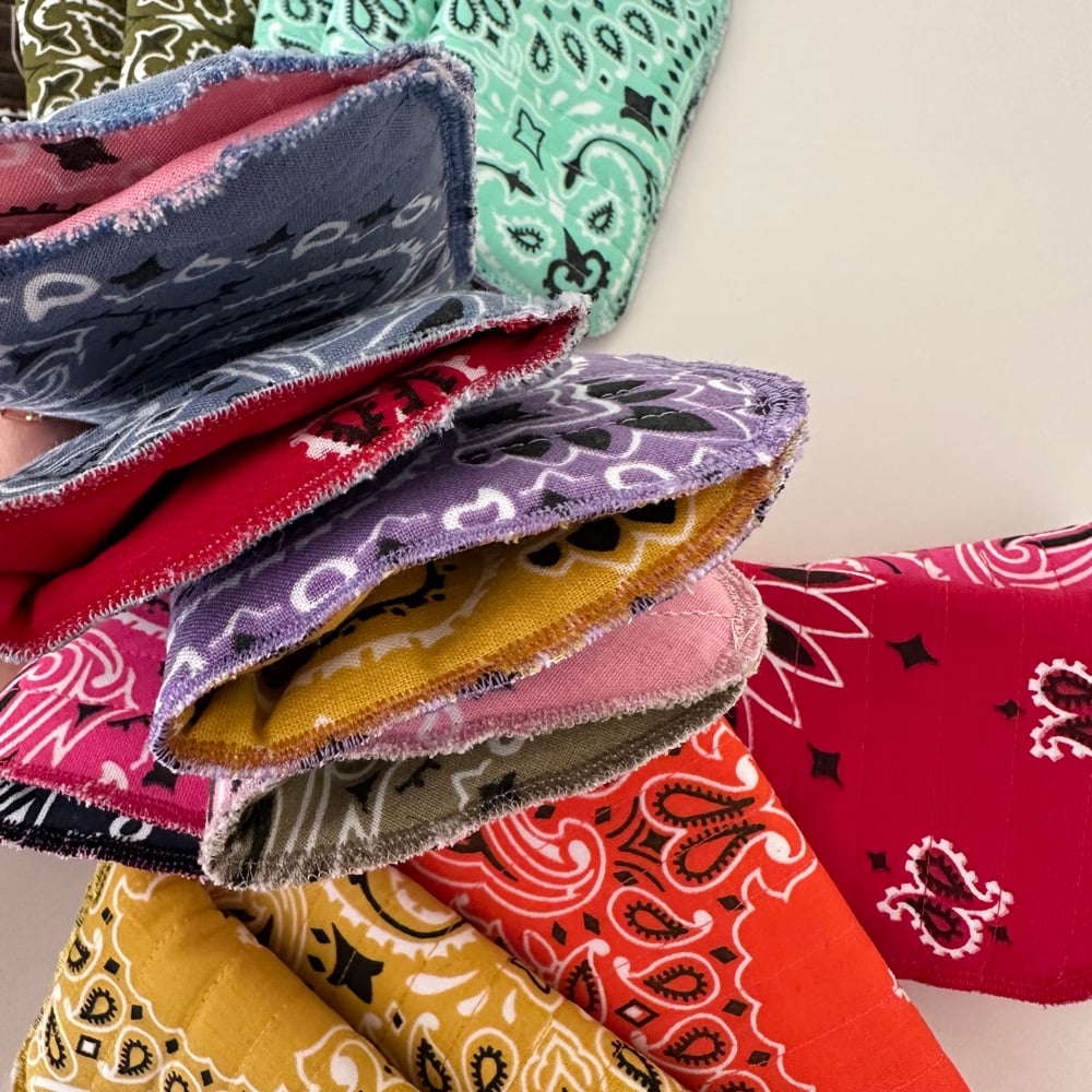 Image of Bandana eyeglass case