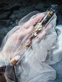 Image 1 of Death moth w/ rare Veracruz 