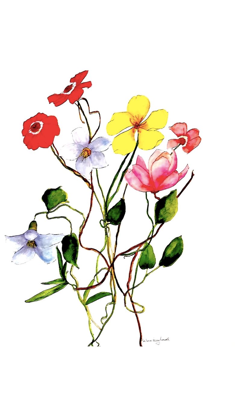 Image of Original floral watercolor painting,  living room wall art