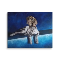 Image 3 of Blue German Shorthaired Pointer
