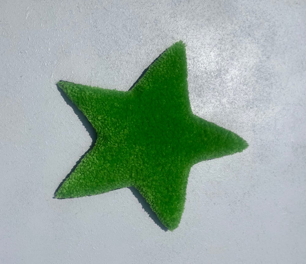 Image of Green Star Coaster