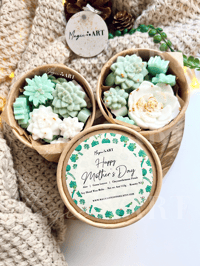 Image 5 of Succulent Garden