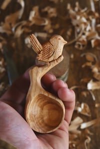 Image 4 of Jenny wren Bird Scoop