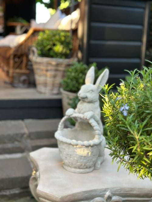 Image of Rabbit with Basket