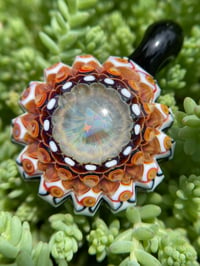 Image 7 of Sol Princess