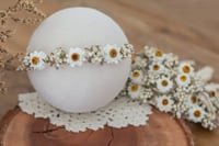 Image 2 of Stretch Tieback 202