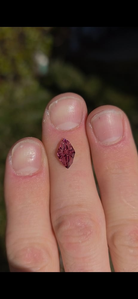 Image of Dragonfly Rose Garnet