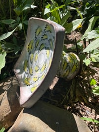 Image 8 of Elevated Dish