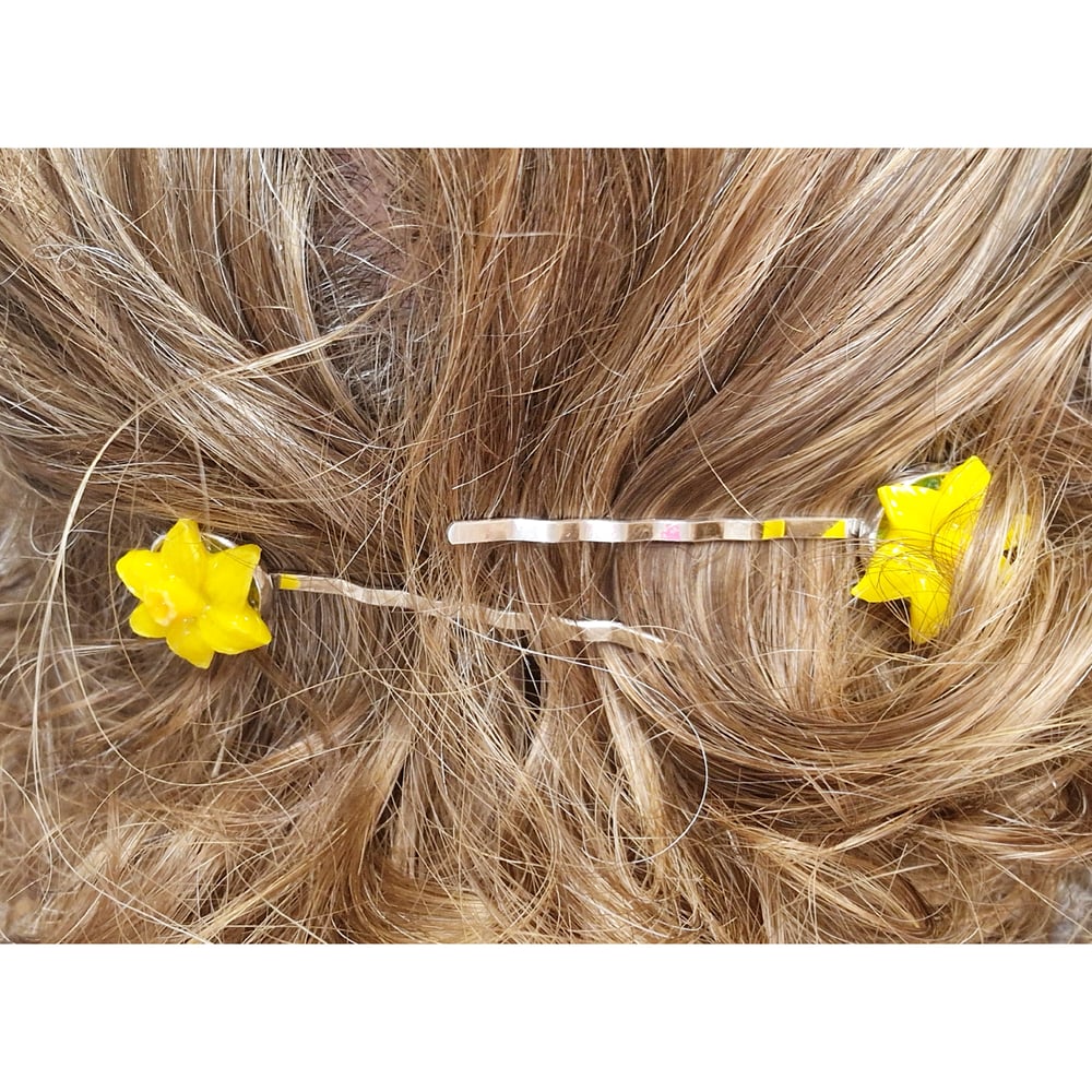 Image of Fused Glass Flower Hair Grips