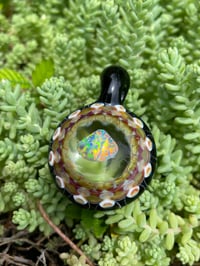 Image 7 of Opal Shells